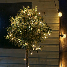 Load image into Gallery viewer, Solar Powered LED Garden Lights