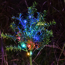 Load image into Gallery viewer, Garden landscape with lawn light