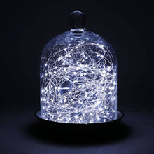 Load image into Gallery viewer, Solar Powered LED Garden Lights