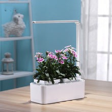 Load image into Gallery viewer, Intelligent automatic watering planting garden
