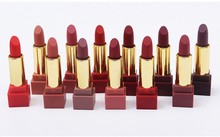 Load image into Gallery viewer, New set of 12-color square tube lipstick matte lipstick
