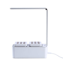 Load image into Gallery viewer, Intelligent automatic watering planting garden
