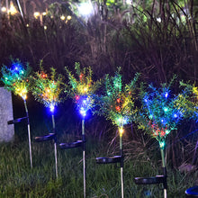 Load image into Gallery viewer, Garden landscape with lawn light
