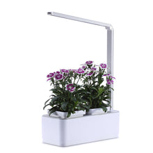Load image into Gallery viewer, Intelligent automatic watering planting garden
