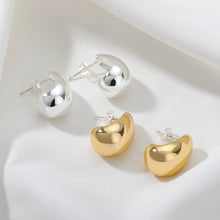 Load image into Gallery viewer, Stainless Steel Hook Earrings For Women  Pin Minimalist Chic Baroque Style Elegant Female Jewelry Delicate Earring Gift 2022
