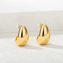 Load image into Gallery viewer, Stainless Steel Hook Earrings For Women  Pin Minimalist Chic Baroque Style Elegant Female Jewelry Delicate Earring Gift 2022

