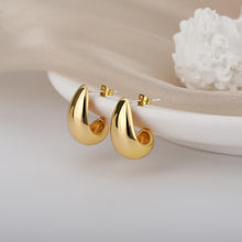 Load image into Gallery viewer, Stainless Steel Hook Earrings For Women  Pin Minimalist Chic Baroque Style Elegant Female Jewelry Delicate Earring Gift 2022
