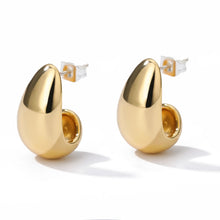 Load image into Gallery viewer, Stainless Steel Hook Earrings For Women  Pin Minimalist Chic Baroque Style Elegant Female Jewelry Delicate Earring Gift 2022
