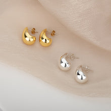 Load image into Gallery viewer, Stainless Steel Hook Earrings For Women  Pin Minimalist Chic Baroque Style Elegant Female Jewelry Delicate Earring Gift 2022
