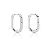 Load image into Gallery viewer, Stainless Steel Hook Earrings For Women  Pin Minimalist Chic Baroque Style Elegant Female Jewelry Delicate Earring Gift 2022

