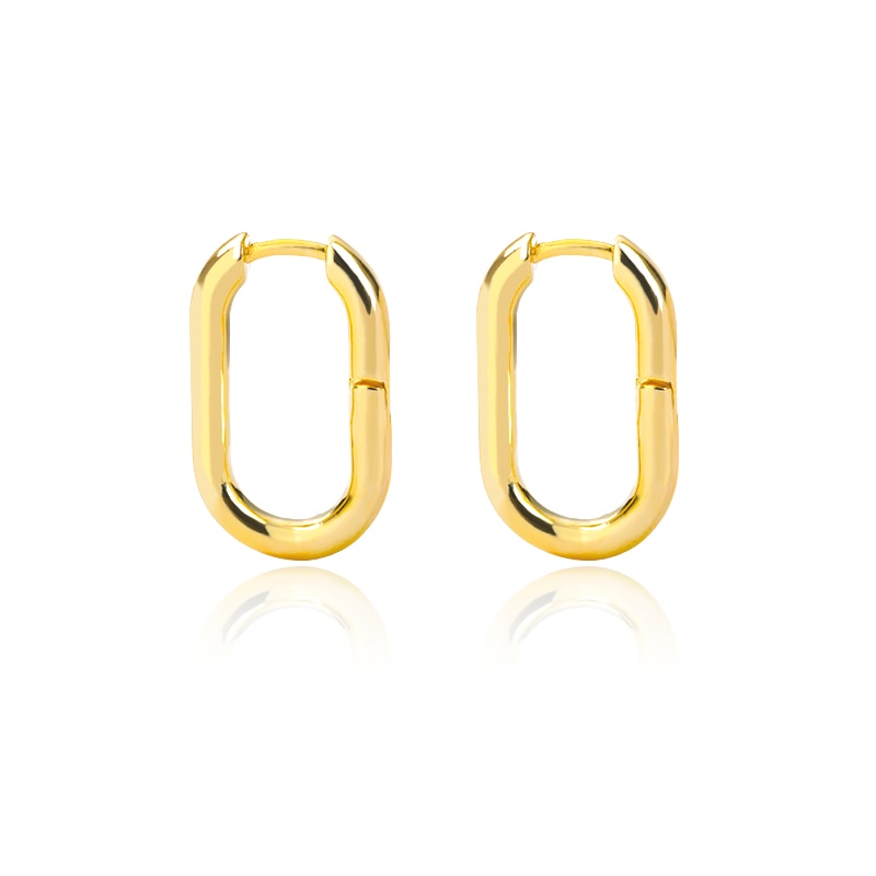 Stainless Steel Hook Earrings For Women  Pin Minimalist Chic Baroque Style Elegant Female Jewelry Delicate Earring Gift 2022