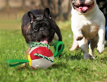 Load image into Gallery viewer, Football Type Dog Toy Bite Resistant
